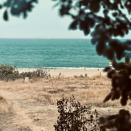 Faleza By The Sea Apartment