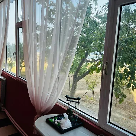 Apartment Faleza By The Sea
